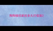 狗狗接回家后多久打疫苗