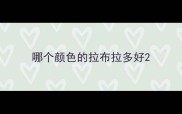 哪个颜色的拉布拉多好