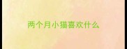 两个月小猫喜欢什么