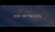 边牧一辈子换几次毛