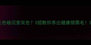 哈士奇毛色暗沉变灰色3招教你养出健康银黑毛亲测有效