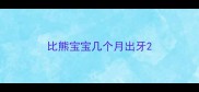 比熊宝宝几个月出牙