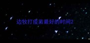 边牧打疫苗最好的时间