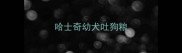 哈士奇幼犬吐狗粮