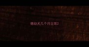 德幼犬几个月立耳