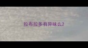拉布拉多有异味么
