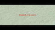 泰迪需要吃美毛粉吗