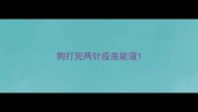 狗打完两针疫苗能遛