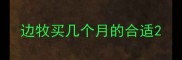 边牧买几个月的合适