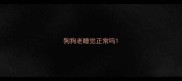 狗狗老睡觉正常吗