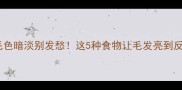 狗狗毛色暗淡别发愁这5种食物让毛发亮到反光