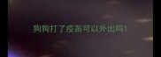 狗狗打了疫苗可以外出吗
