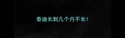 泰迪长到几个月不长