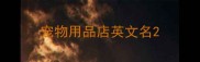 宠物用品店英文名