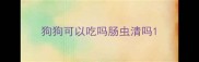狗狗可以吃吗肠虫清吗
