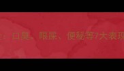 泰迪犬上火症状全口臭眼屎便秘等7大表现及科学应对指南
