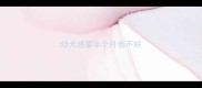 幼犬感冒半个月也不好