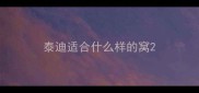 泰迪适合什么样的窝
