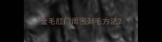 金毛肛门周围剃毛方法