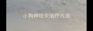 小狗神经炎治疗方法