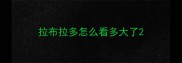 拉布拉多怎么看多大了