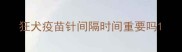 狂犬疫苗针间隔时间重要吗