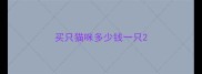 买只猫咪多少钱一只