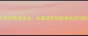 萨摩耶一个月饲养成本全从基础开销到省钱技巧的详细清单