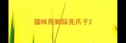 猫咪用脚踩亮爪子