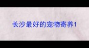 长沙最好的宠物寄养