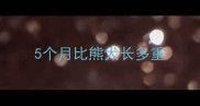 5个月比熊犬长多重