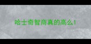 哈士奇智商真的高么