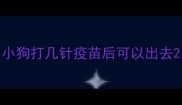 小狗打几针疫苗后可以出去