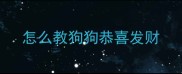怎么教狗狗恭喜发财