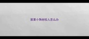 家里小狗老咬人怎么办