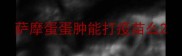 萨摩蛋蛋肿能打疫苗么