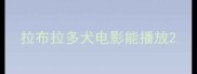 拉布拉多犬电影能播放