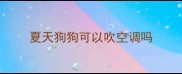 夏天狗狗可以吹空调吗