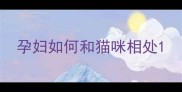 孕妇如何和猫咪相处