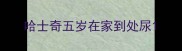 哈士奇五岁在家到处尿