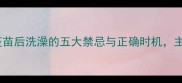 幼犬接种疫苗后洗澡的五大禁忌与正确时机主人必看