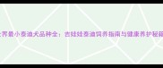 世界最小泰迪犬品种全吉娃娃泰迪饲养指南与健康养护秘籍