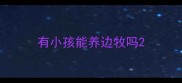 有小孩能养边牧吗