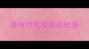 猫咪打完疫苗后软便
