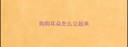 狗狗耳朵怎么立起来