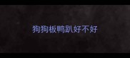 狗狗板鸭趴好不好