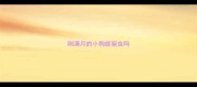刚满月的小狗能驱虫吗