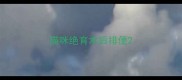 猫咪绝育术后排便