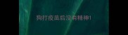 狗打疫苗后没有精神
