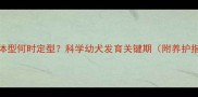 狗狗体型何时定型科学幼犬发育关键期附养护指南